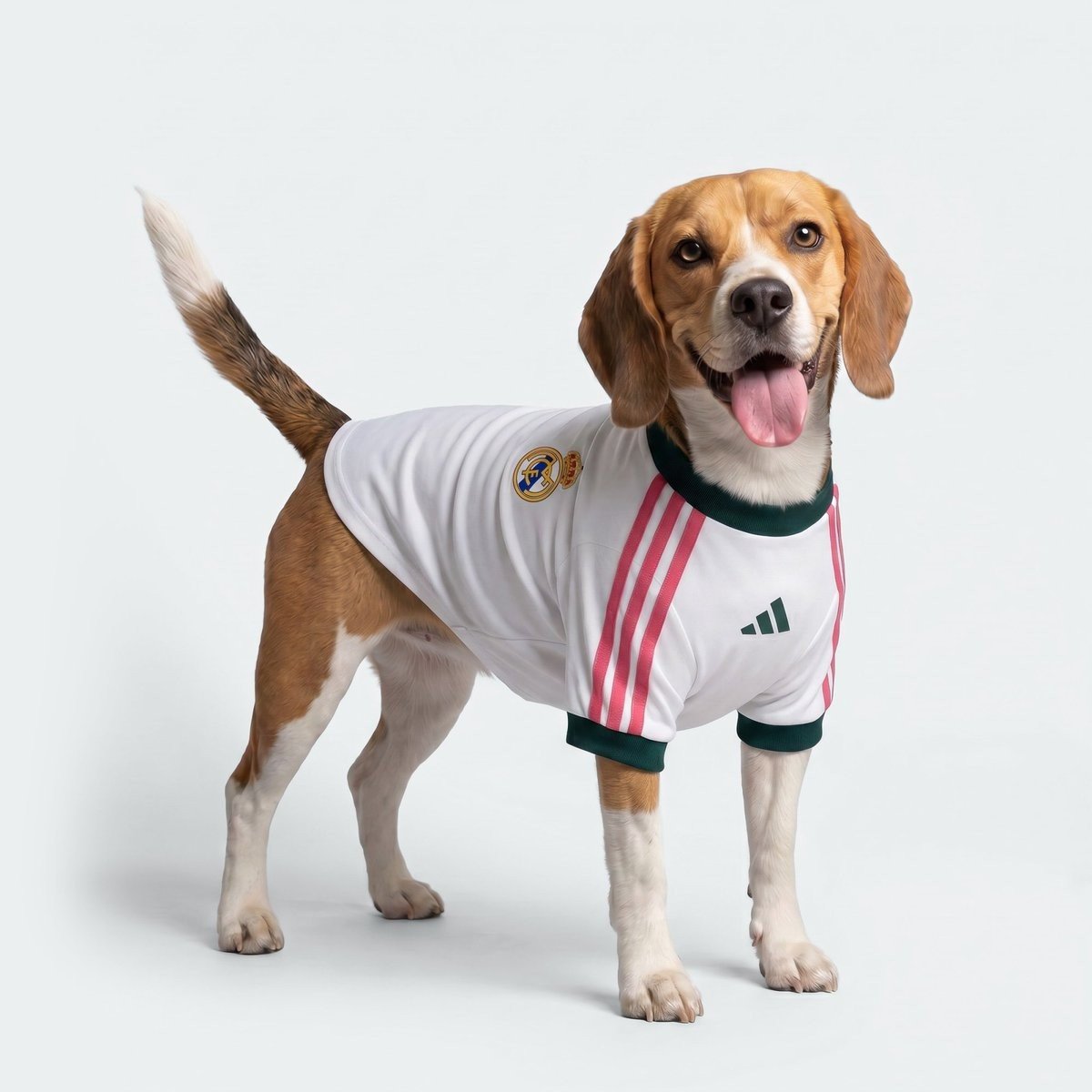 Adidas Launches Special 26-27 Dog Kit for Real Madrid